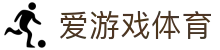 爱游戏体育入口倾情奉献：世界杯高清直击与趣味互动，让这个夏天不留遗憾